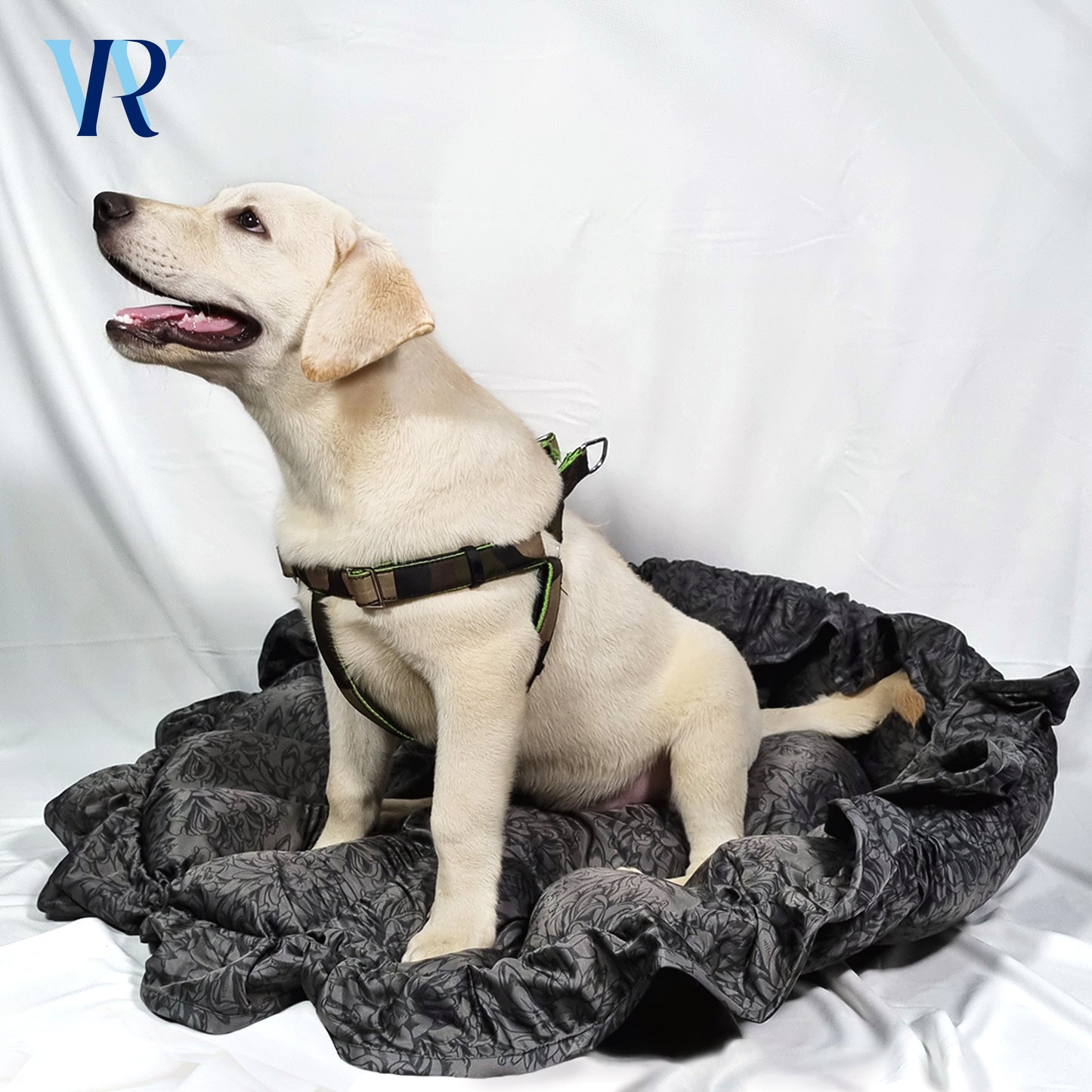 Round Pet Bed