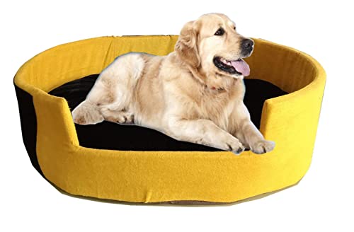 Open Pet Bed for Dog | Yellow and Black